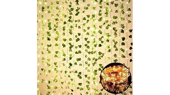 The image shows a variety of popular plants, perfect for decorating college dorm rooms.