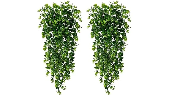 Most Popular 10 Plants for Covered Patio