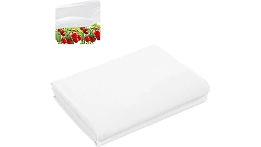 Most Popular 10 Plants for Direct Sunlight and Heat