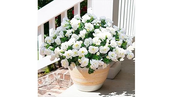 This image shows a beautiful front porch decorated with a variety of popular plants.