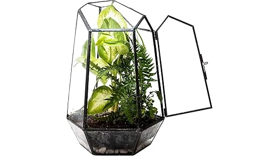 The image shows a vibrant, enclosed terrarium featuring lush plants, ideal for self-sustaining environments.