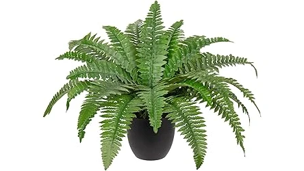 The image shows a vibrant balcony filled with various blooming plants, showcasing popular choices for sunny spaces.