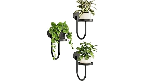 Most Popular 10 Plants for Wall Planters