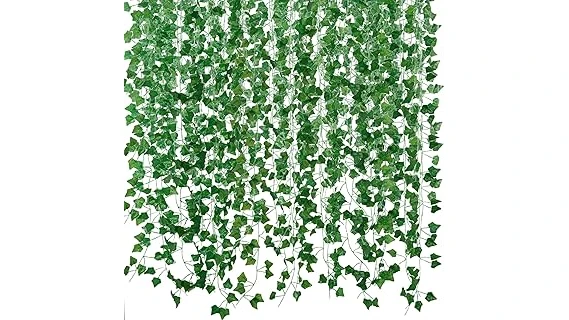 Most Popular 10 Plants for a Balcony