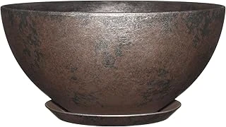 This image shows a beautifully potted Christmas Cactus, suggesting ideal pots for the season.