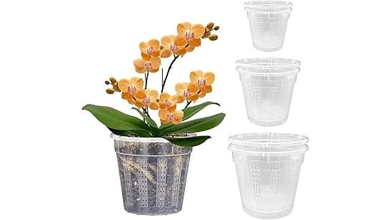 The image shows several decorative pots suitable for displaying beautiful cymbidium orchids.