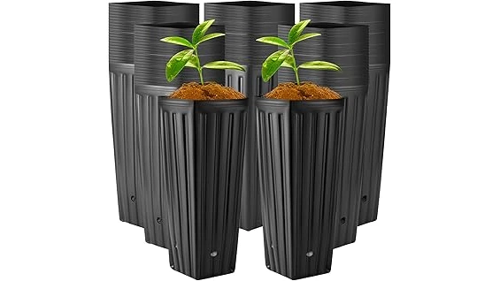 Most Popular 10 Pots for Fruit Trees