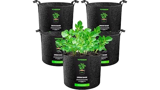Most Popular 10 Pots for Growing Cannabis