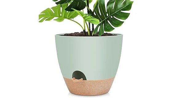 Most Popular 10 Pots for Lemon Trees