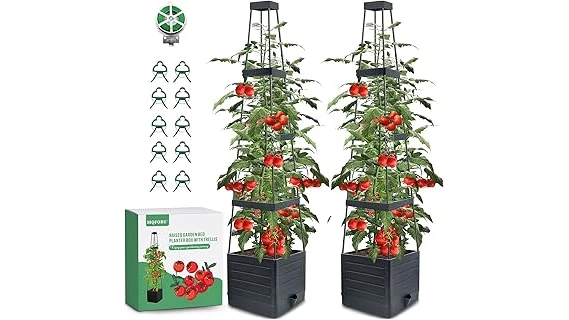 Most Popular 10 Pots for Tomato Plants