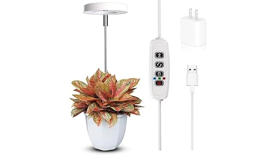 Most Popular 10 Potted Plant for Full Sun