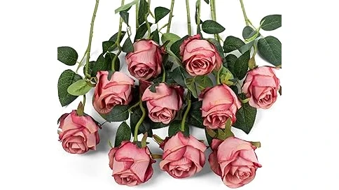 Most Popular 10 Roses for Full Sun