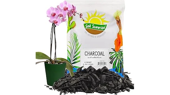 The image shows a collection of soil mixes for indoor plants, highlighting popular choices.