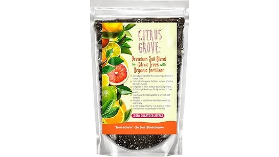 Most Popular 10 Soil for Ficus Tree