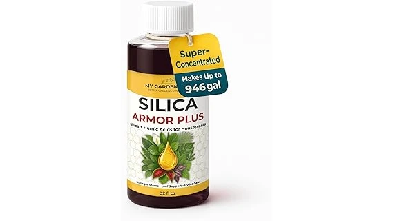 Most Popular 10 Soil for Peace Lilies