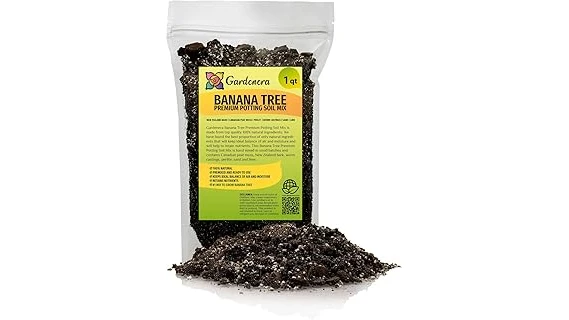 Most Popular 10 Soil for String of Bananas