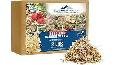 Most Popular 10 Straw Mulch for Vegetable Garden