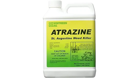 The image shows various weed control products arranged neatly for a guide to popular grass weed solutions.