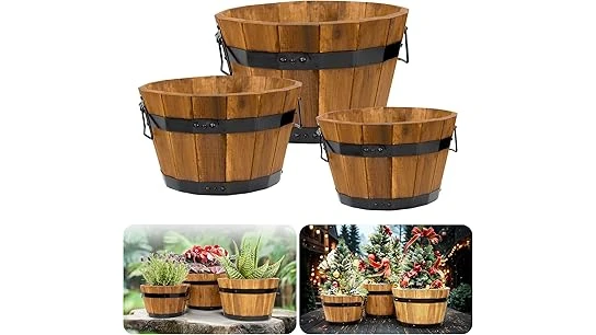 The image shows various attractive wooden planters, showcasing popular woods for garden projects.
