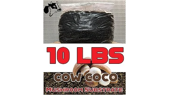 The image shows a lush donkey tail succulent plant in its ideal potting mix for healthy growth.