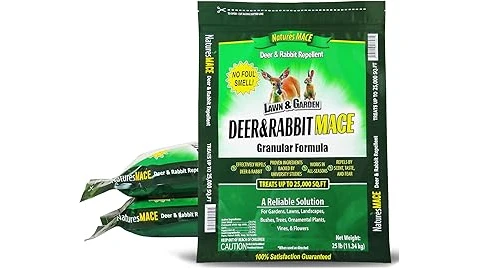 The image shows vibrant orange and yellow marigolds, highlighting popular varieties for natural pest control.