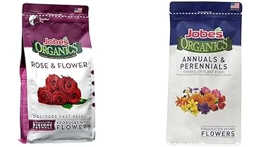The image shows vibrant Iceberg roses, suggesting popular fertilizer choices for healthy blooms.