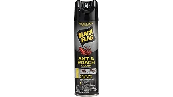 Most Popular 6 Spray to Kill Black Widows