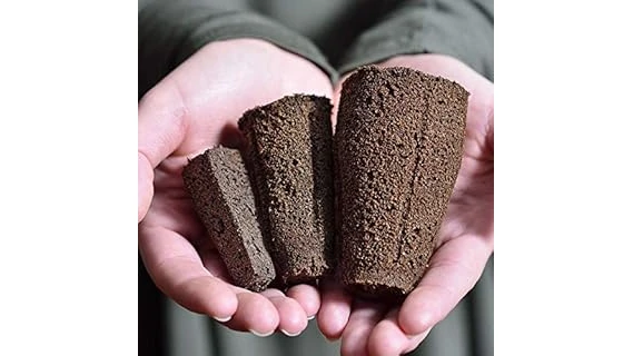 Most Popular 7 Perennials for Sandy Soil