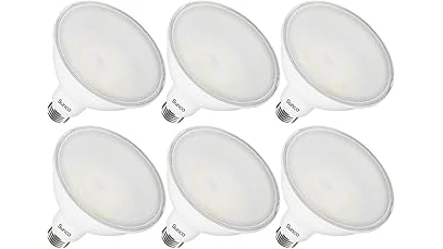 The image shows a collection of various outdoor light bulbs, perfect for illuminating any garden space.