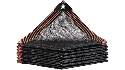 Top 10 Bushes for Full Shade