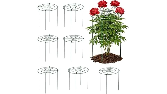 Top 10 Cages for Tomato Plants