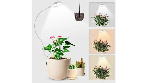 The image shows a variety of vibrant grow light colors promoting healthy plant growth for the top 10 list.