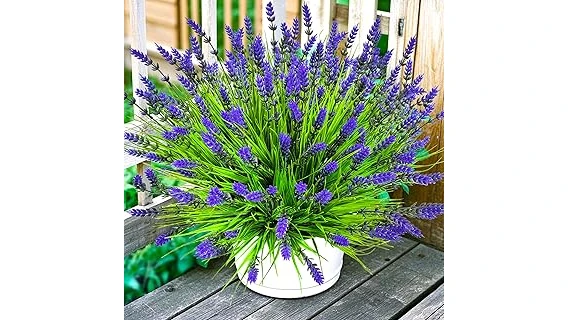 The image shows vibrant, sun-loving flowers in pots, perfect for a top 10 container flowers list.