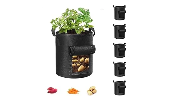 Top 10 Containers for Growing Potatoes