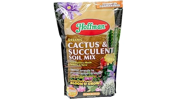 The image shows healthy aloe plants thriving in various soil mixes for optimal growth.