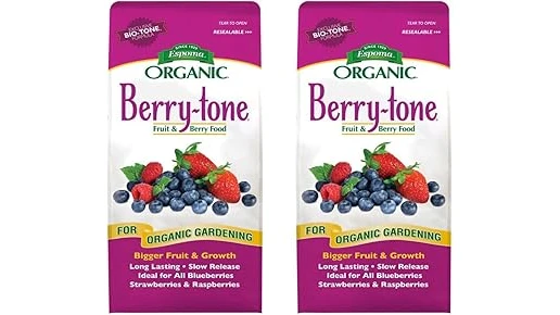 Top 10 Fertilizer for Blackberry Bushes