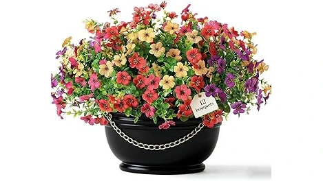 Top 10 Flowers for Covered Porch