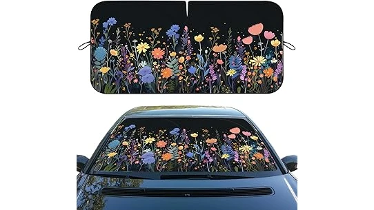 This image shows a colorful garden bed with a variety of flowers thriving in sunny and shady areas.