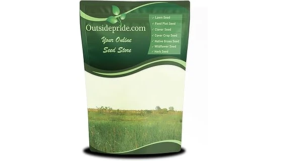 Top 10 Grass Seed for Drought