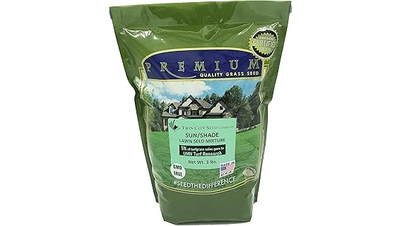 Top 10 Grass Seed for Dry Sandy Soil