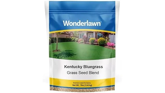 The image shows lush green horse pasture grass ready for grazing, highlighting top grass seed choices.