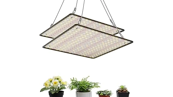 Top 10 Grow Light for 2×4 Tent