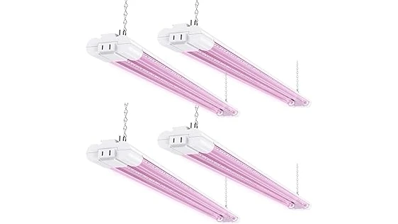 The image shows a collection of powerful LED grow lights illuminating a vibrant hydroponic setup.