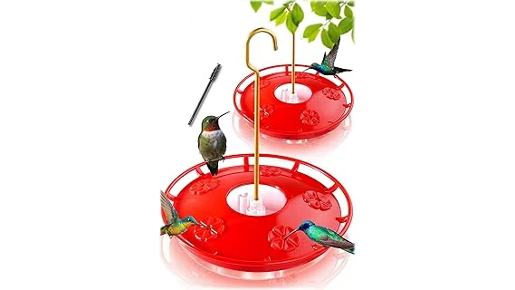 Top 10 Hummingbird Feeders That Don T Leak