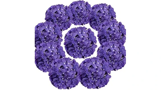 The image shows beautiful large blue hydrangeas, ideal for a Top 10 Hydrangeas for Cut Flowers list.