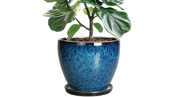 Top 10 Large Outdoor Ceramic Pots for Plants