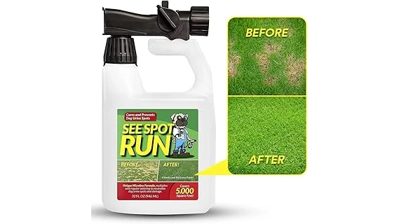This image shows a dog happily playing on a healthy, green lawn, perfect for the Top 10 Lawn Care for Dogs guide.