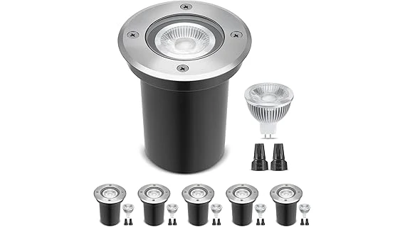 The image shows a beautifully lit garden path with discreet LED low voltage landscape lighting options.