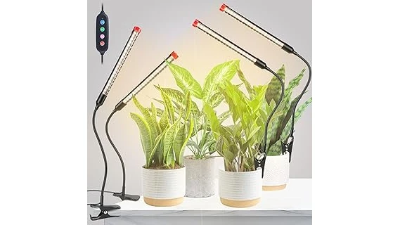 The image shows a collection of stylish grow lights illuminating various potted indoor cacti for optimal growth.