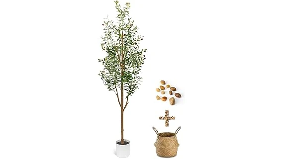 The image shows a beautiful Snake Plant, a top choice for low light indoor trees.